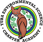 YES Charter Academy