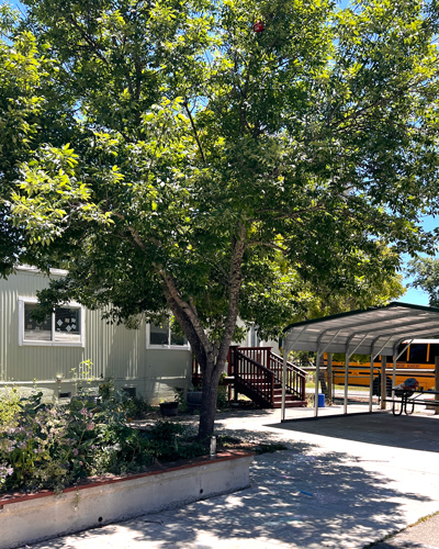 YES Charter Academy beautiful outdoor campus
