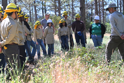 Working Lands Workforce